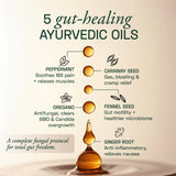 Ace Blend IBS Gastro Pro, (60 Softgels) - With 5 Ayurvedic Gut-Healing Oils, Relieves Bloating & Gas