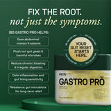 Ace Blend IBS Gastro Pro, (60 Softgels) - With 5 Ayurvedic Gut-Healing Oils, Relieves Bloating & Gas