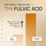 Ace Blend TRUBLK Shilajit Sticks, (30 Servings) - With Over 75% Fulvic Acid & 80+ Trace Minerals